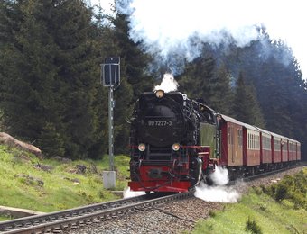 Die Brockenbahn fährt in einem Tal umgeben von Bäumen