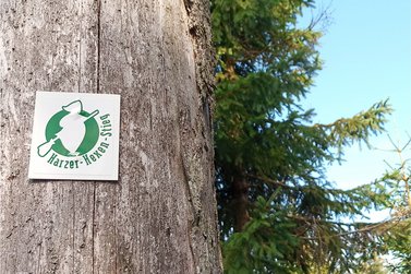 Wegweiser Harzer Hexenstieg an einem Baum