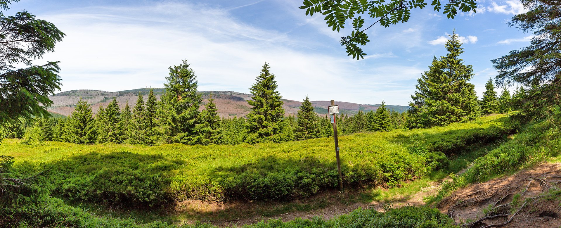 Blick auf einen Wanderweg mit Wegweiser
