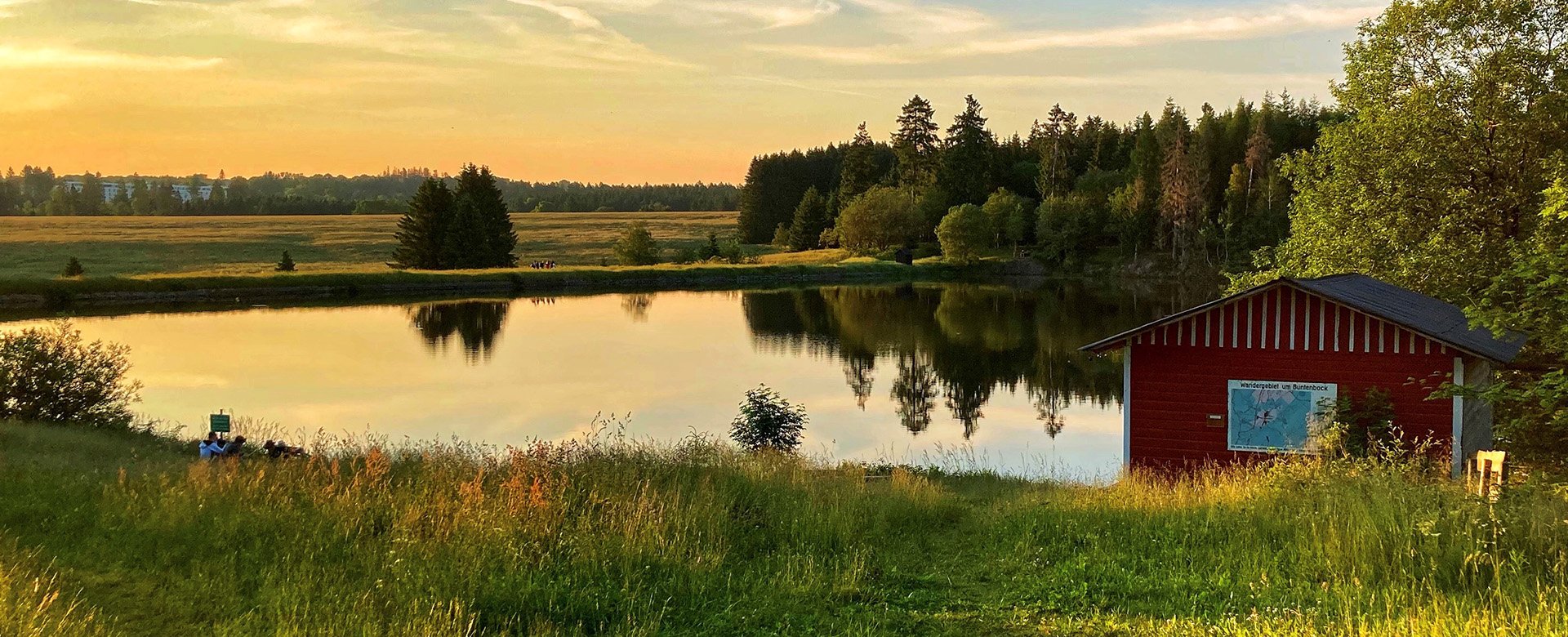 Bergwiesenweg Buntenbock Oberharz wandern