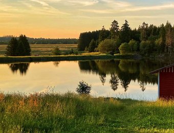 Sonnenuntergang über dem Ziegenberger Teich