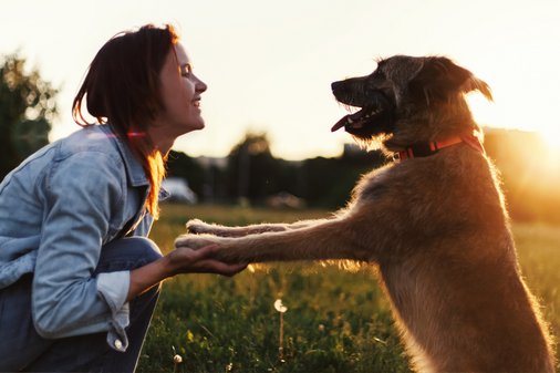 Frau und Hund auf einer Wiese bei Sonnenuntergang