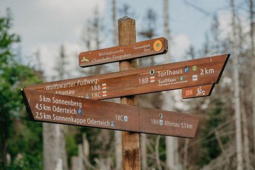 Blick auf einen Hölzerner Wegweiser im Wald im Oberharz