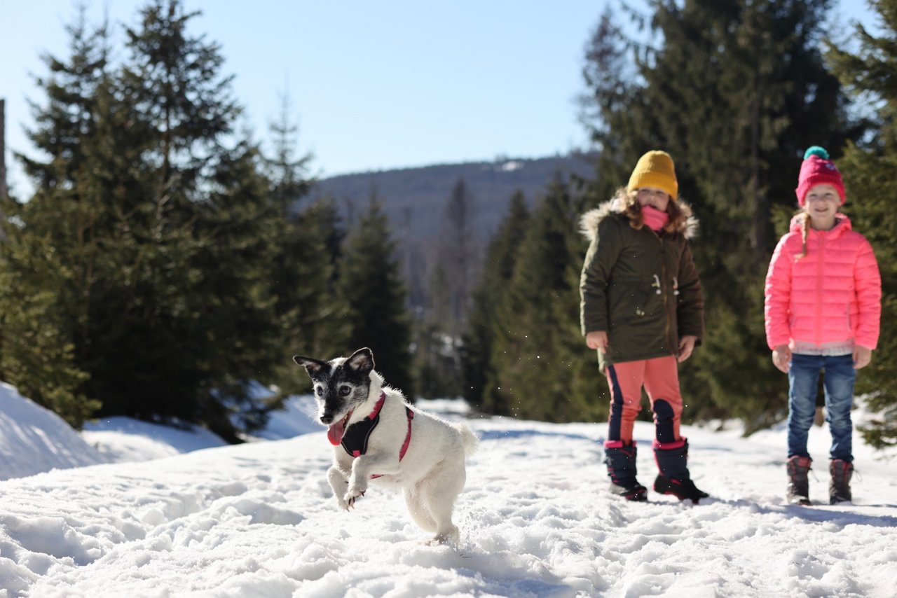 Kleiner Hund spielt im Schnee, dahinter stehen zwei Mädchen
