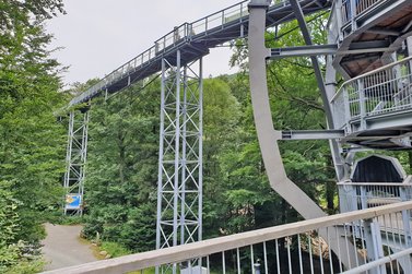 Blick auf den hohen Baumwipfelpfad