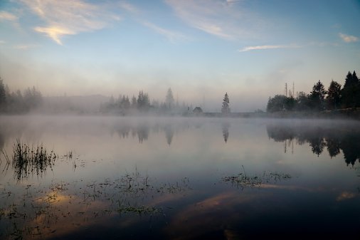Blick auf Oderteich im Nebel