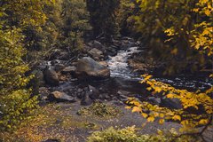 Selketal Bach Oberharz wandern Natur