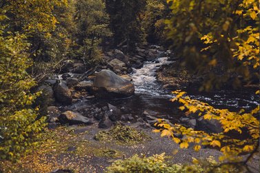 Selkefall im Herbst 