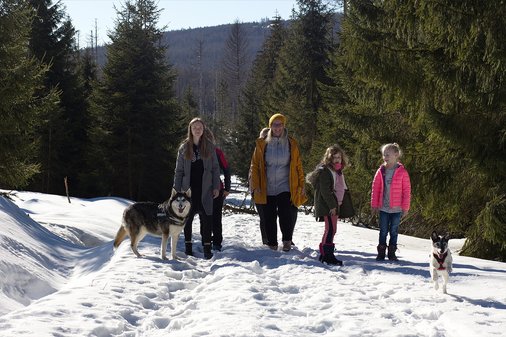 Familie mit zwei Hunden spazieren bei Winterwetter durch einen verschneiten Nadelwald
