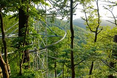 Baum-Schwebe-Bahn Bad Harzburg Oberharz wandern
