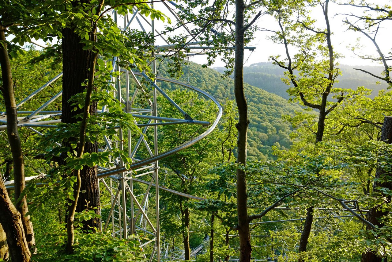 Baum-Schwebe-Bahn Bad Harzburg Oberharz wandern