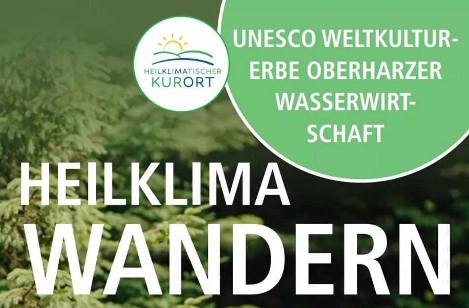 Vorschaubild des Heilklima Wandern-Flyers aus dem Oberharz