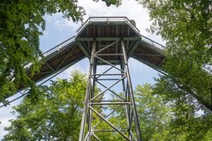 Baumwipfelpfad von unten Fotografiert