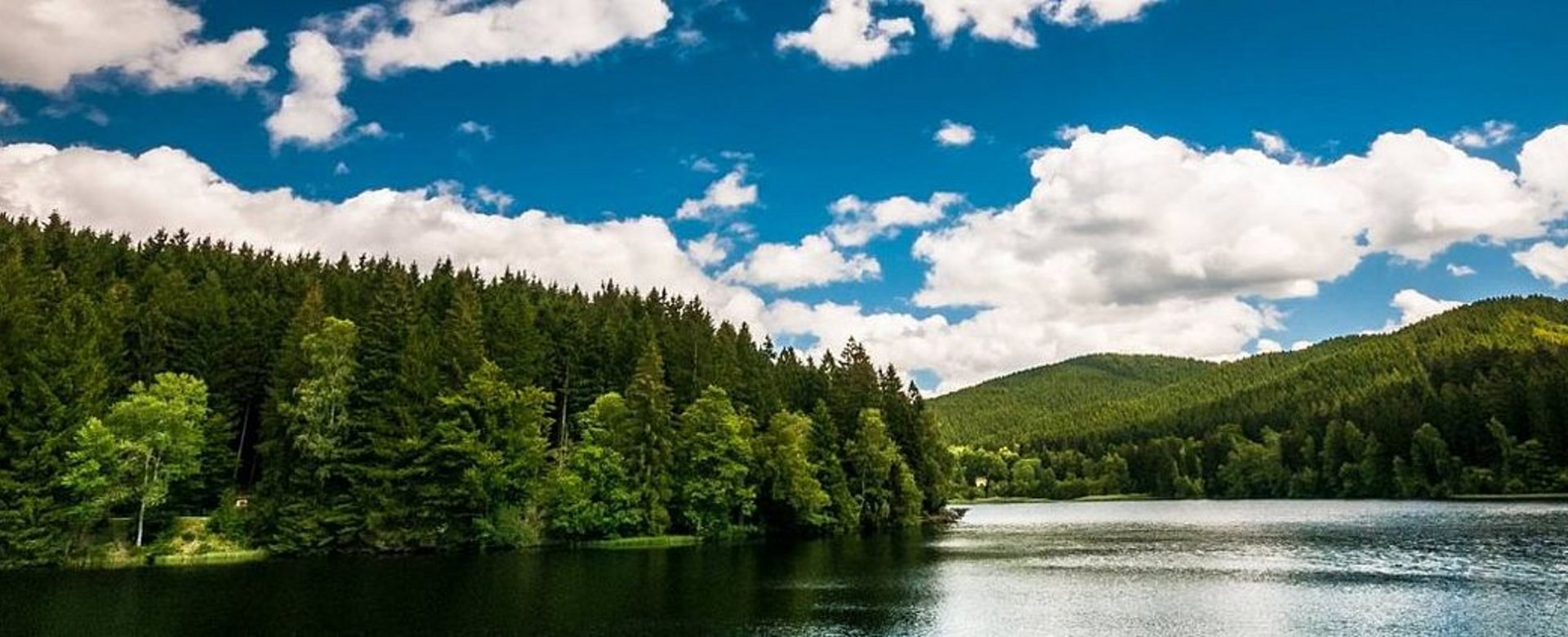 Blick auf einen See im Sommer umgeben von Bäumen