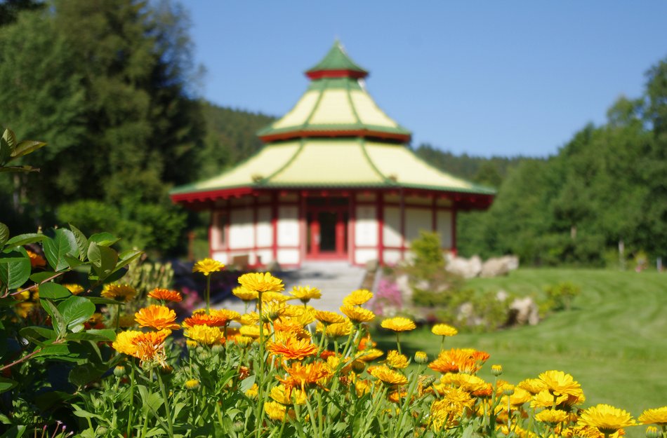 Ringelblumen Pagode Kräuterpark Altenau Oberharz