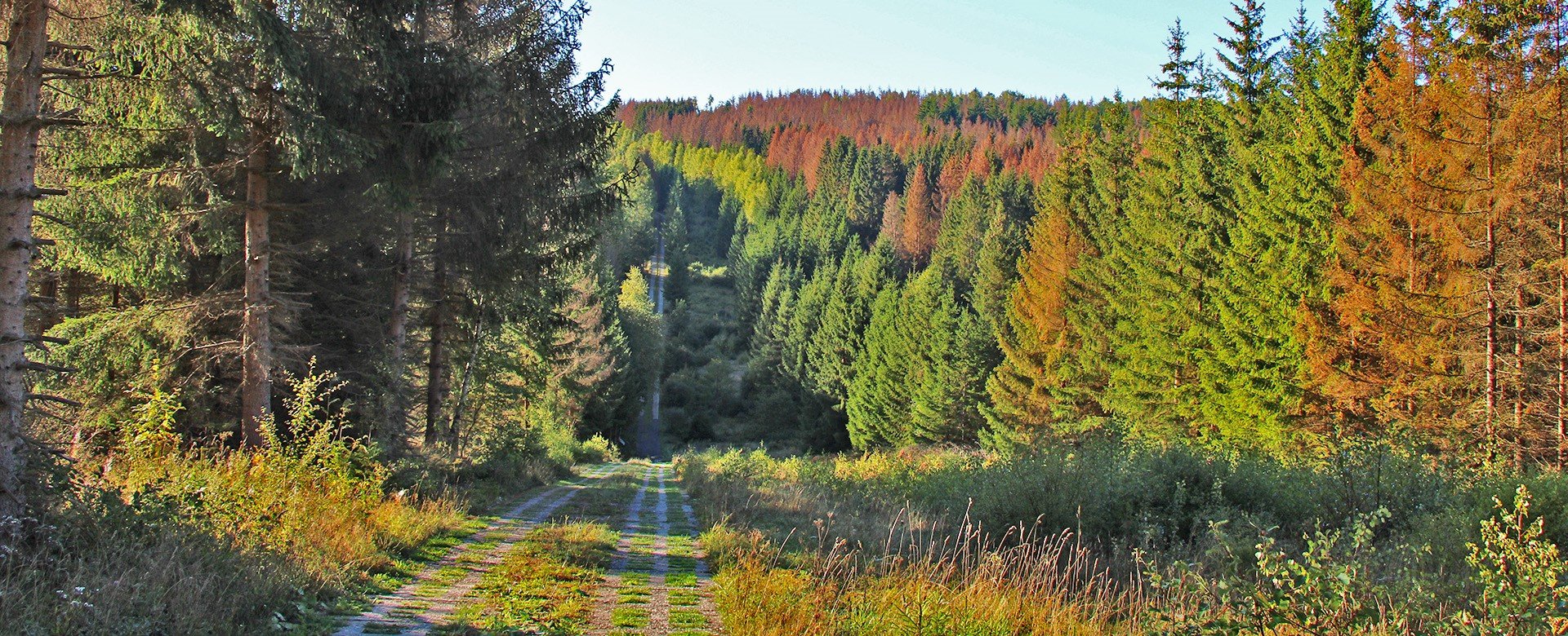 Blick über den Grenzweg im Herbst