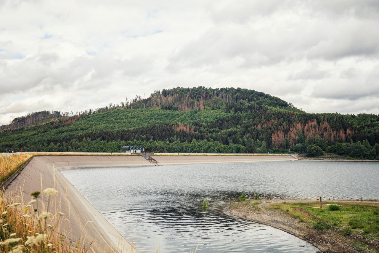 Oberharz Talsperre wandern Natur