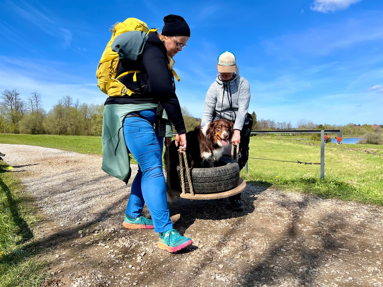 zwei Leute tragen einen Hund 