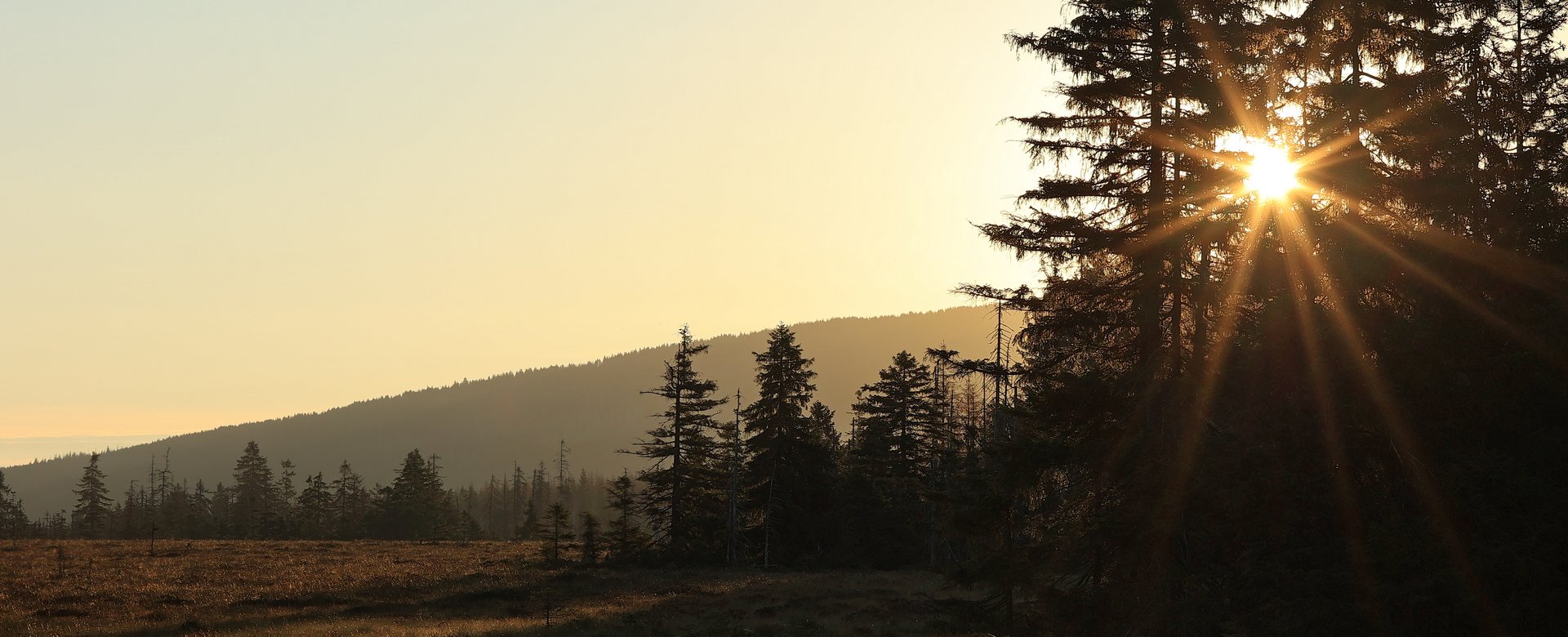 Moorlandschaft bei Sonnenuntergang auf Torfhaus
