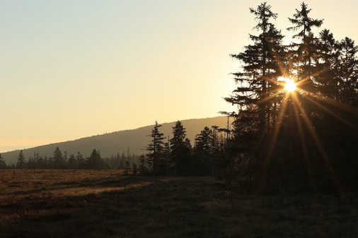 Moorlandschaft bei Sonnenuntergang auf Torfhaus