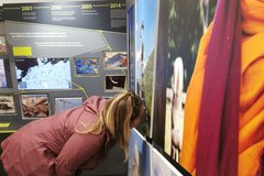 Eine Frau liest Informationen zum Welterbe im Harz