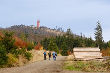 Wanderer laufen zum Wurmberg