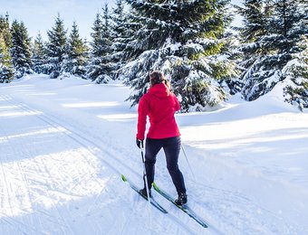 Frau ist mit Langlaufski im verschneiten Wald unterwegs