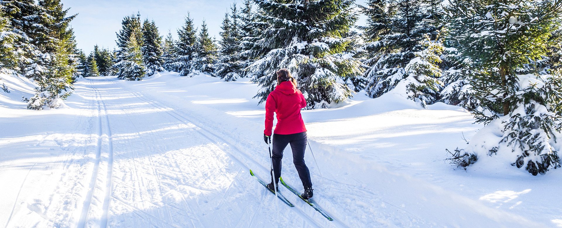 Frau ist mit Langlaufski im verschneiten Wald unterwegs