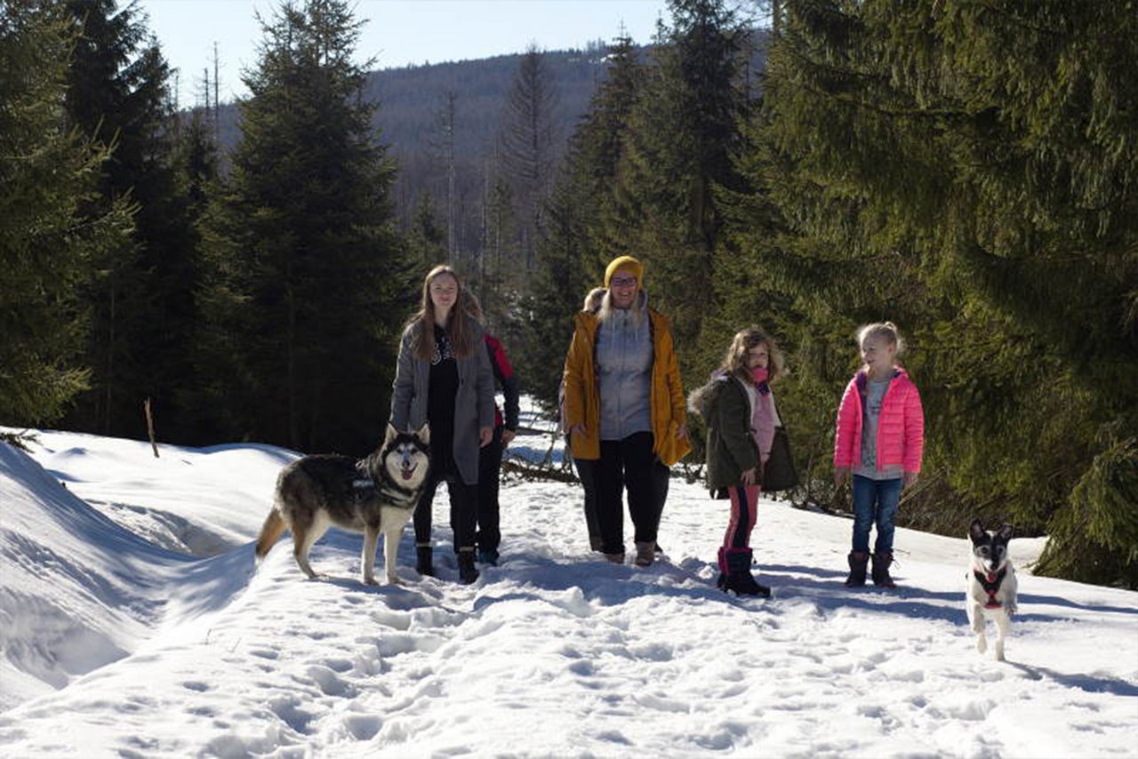 Familie steht mit zwei Hunden in einem Schneebedeckten Wald