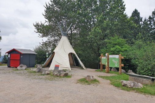 Tippie am Wegesrand im Weltwald Harz