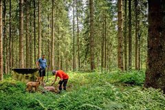Bogensport Parcours Clausthal-Zellerfeld Oberharz