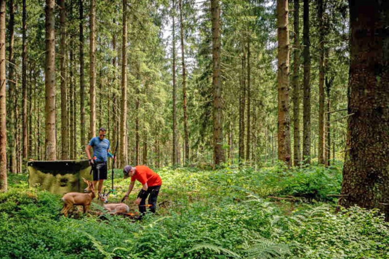Bogensport Parcours Clausthal-Zellerfeld Oberharz