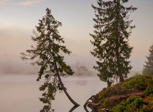 Der Oderteich im Nebel