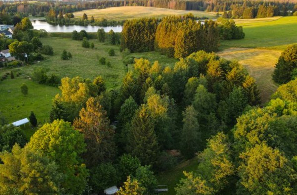 Blick über Wiesen und Teiche Buntenbocks 