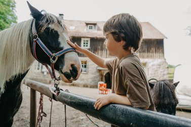kleiner Junge streichelt Pferd