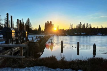 Oderteich am Ablass beim Sonnenuntergang