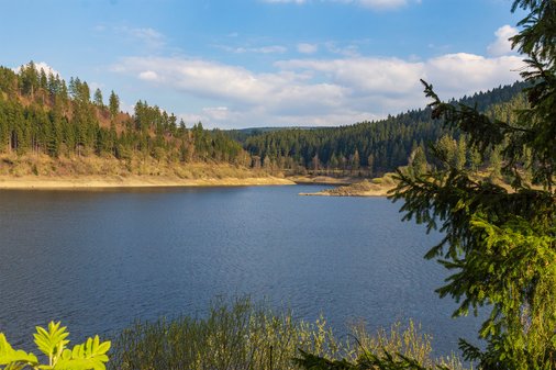 Blick auf einen See mit vielen Nadelwäldern im Hintergrund
