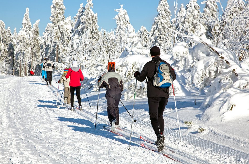 Viele Langläufer laufen durch einen verschneiten Wald