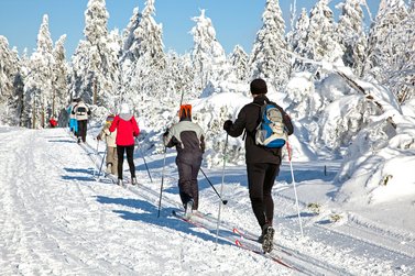 Viele Langläufer laufen durch einen verschneiten Wald