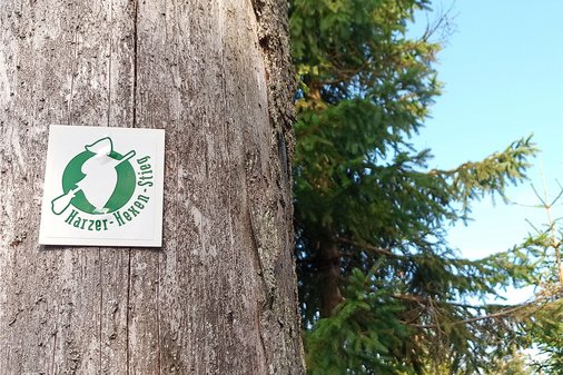Wegweiser Harzer Hexenstieg an einem Baum