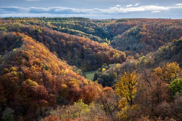 Blick ins herbstliche Tal 