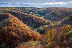 Blick ins herbstliche Tal 