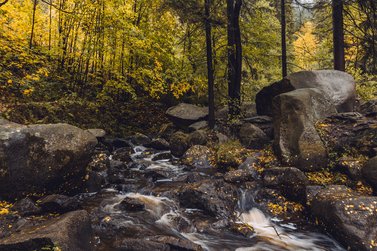 Selkefall im Herbst 