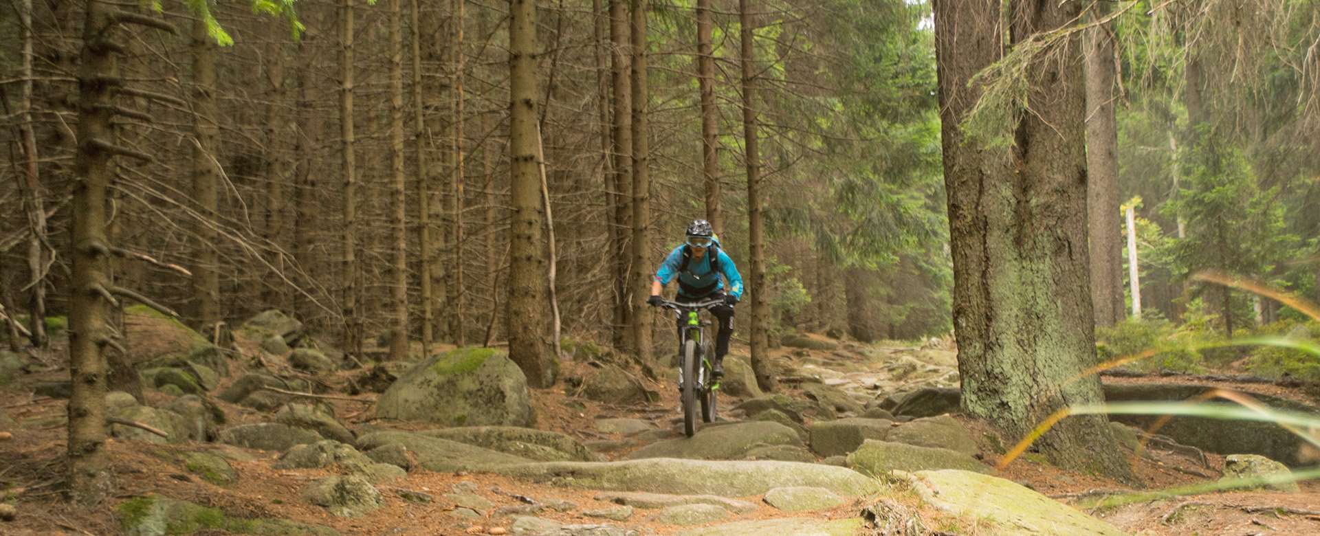 Mountainbike Fahrer fährt hügelige Strecke durch den Wald