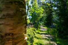 Wanderweg auf dem Skulpturenpfad 