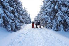 Familie wandern mit Kindern auf Schlitten durch einen Wald