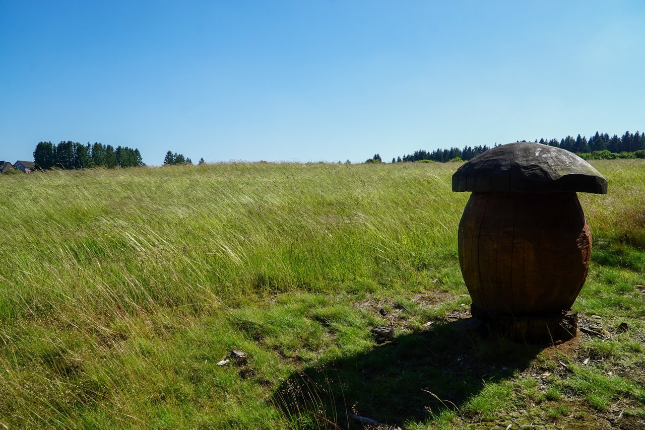 Geschnitzter Pilz vor einer Wiese
