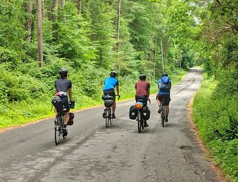 Vier Fahrradfahrer fahren durch einen Wald auf einem ebenen Weg