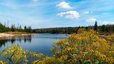 Blick auf den Okerteich