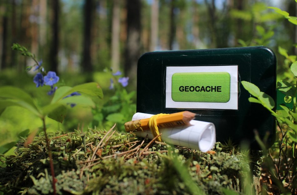 Geocaching Oberharz Wald Natur Ausflugsziel